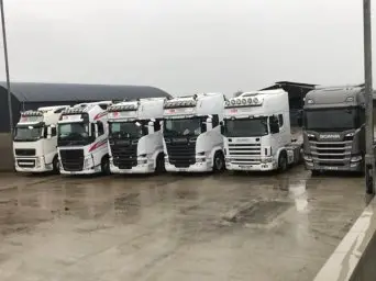 bell international transport